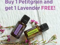BOGO van maandag 19 februari