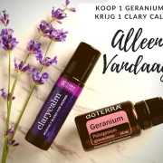 bogo aanbieding dinsdag 24 juli