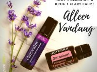 BOGO Aanbieding Dinsdag 24 juli 2018