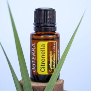 citronella