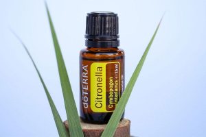 citronella