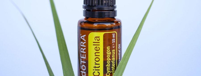 citronella